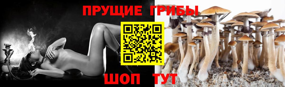 Псилоцибиновые грибы мицелий Сланцы